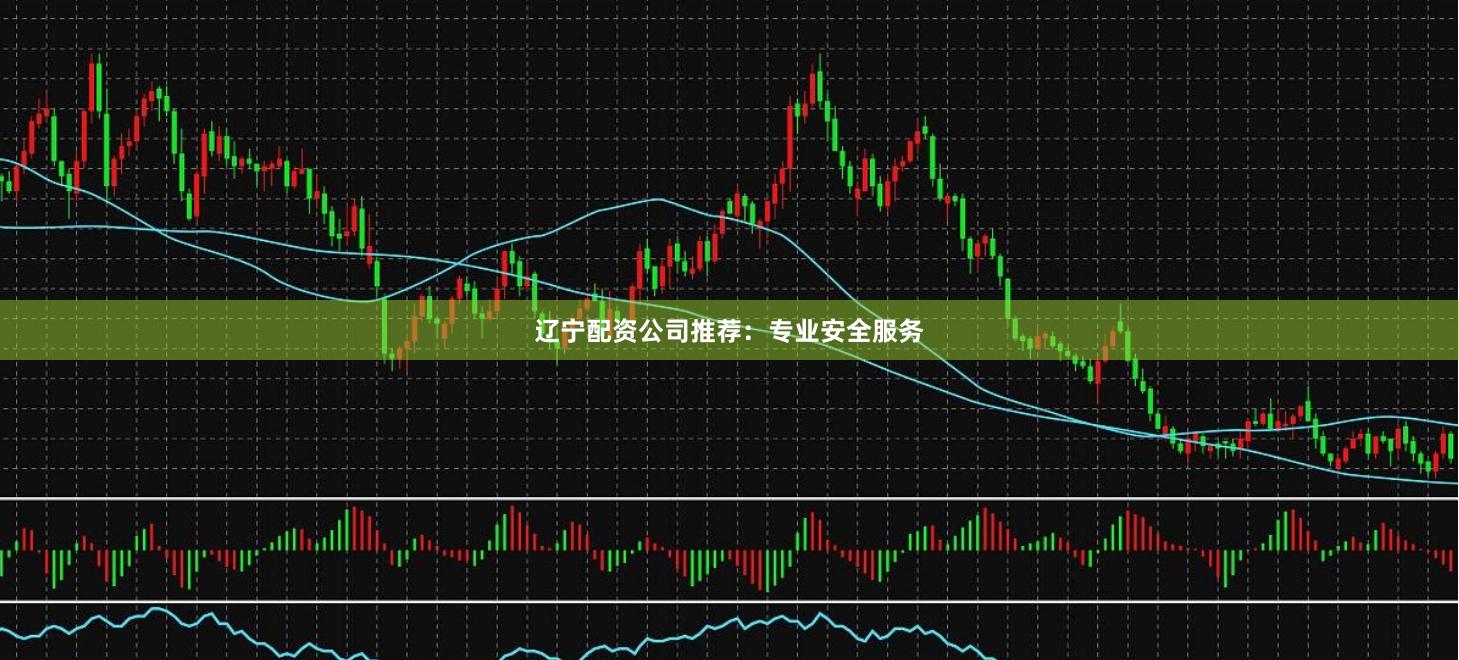 辽宁配资公司推荐：专业安全服务